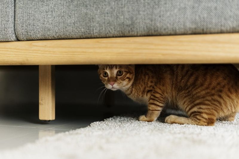 Hiding Spots