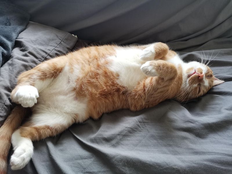 Unusual Sleeping Patterns