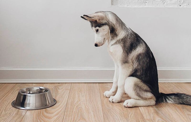 Reduced Appetite Or Food Refusal