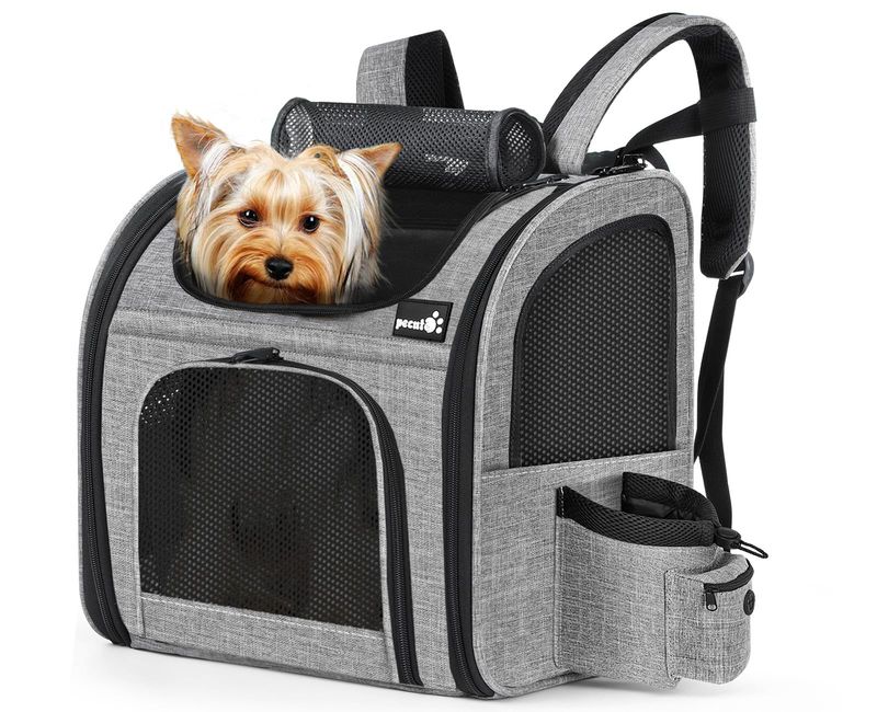 Portable Pals: Perfect Travel Companions
