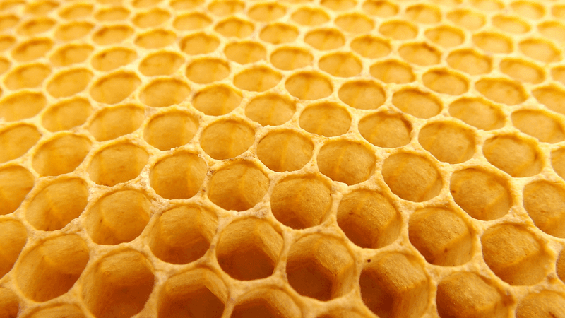 Wax Producers
