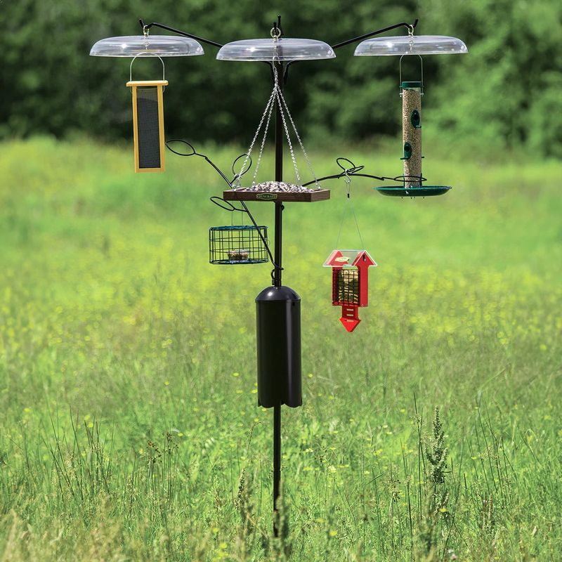Place Bird Feeders In Open Spaces