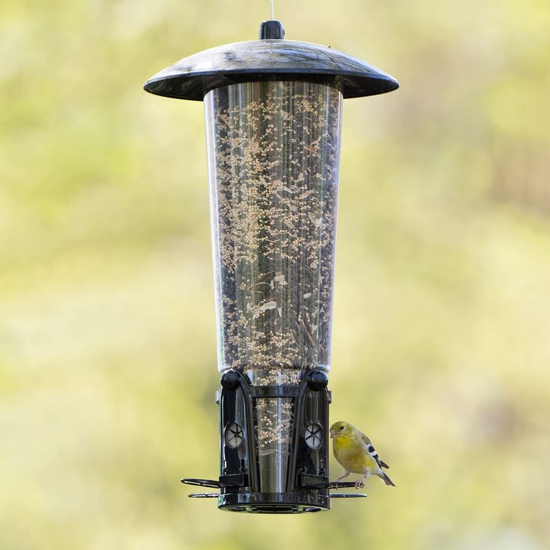 Try A Squirrel-Proof Bird Feeder With A Spring-Loaded Door