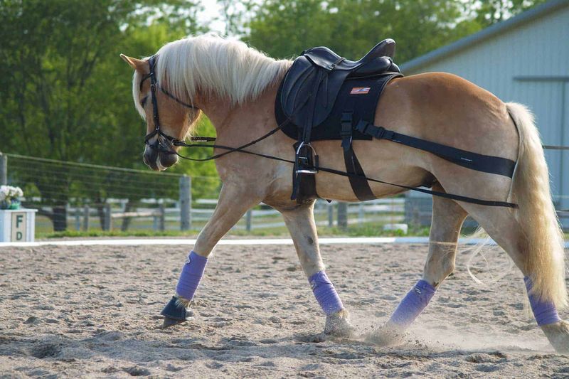 Incorporate Backing Up Into Your Routine