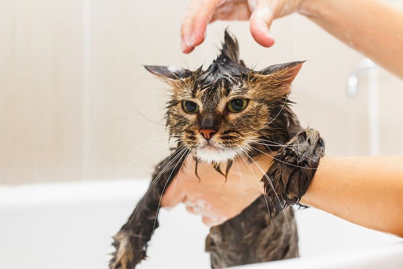 Rinse Thoroughly