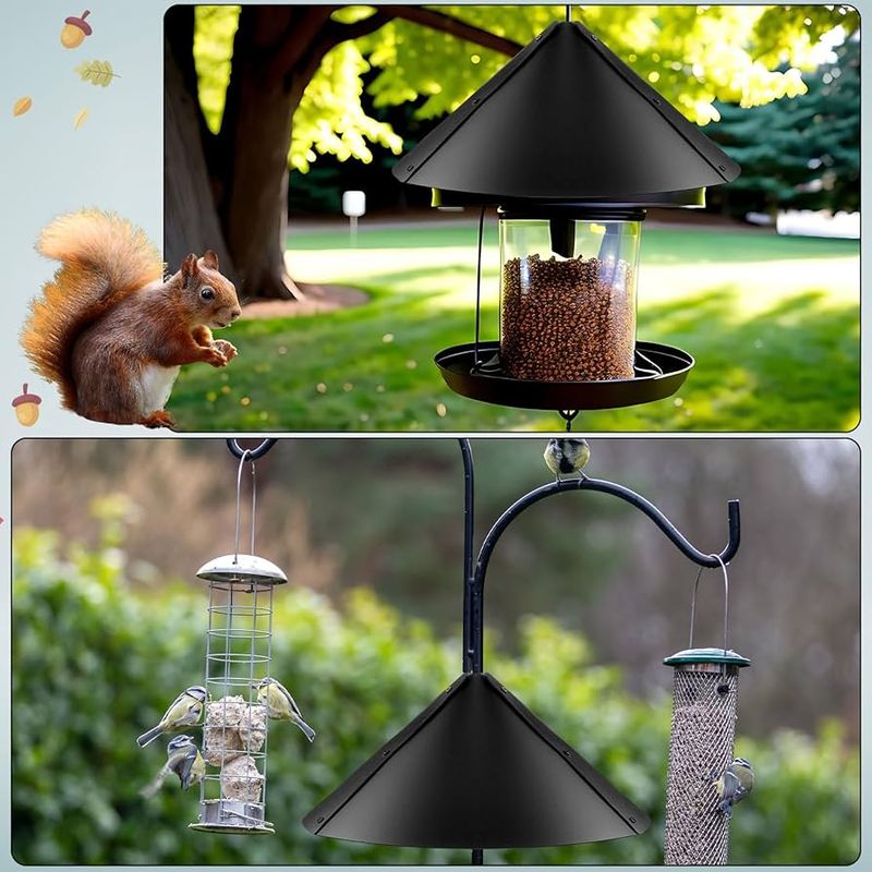 Place Feeders On A Pole With No Nearby Perches