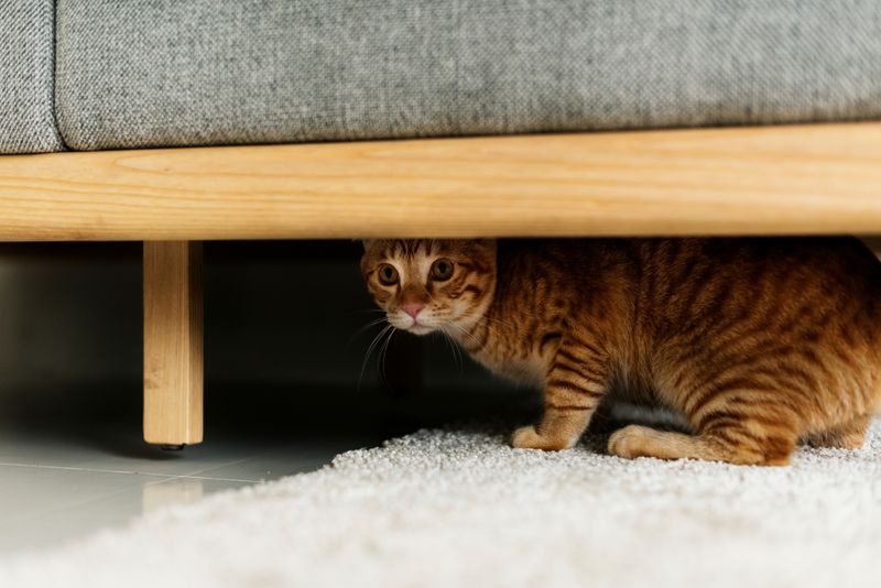 Respect Hiding Behaviors