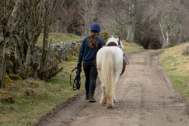 Allowing The Horse Time To Settle