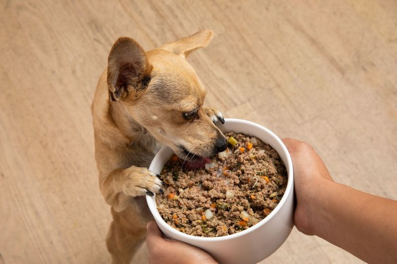 Ignoring Diet And Nutrition