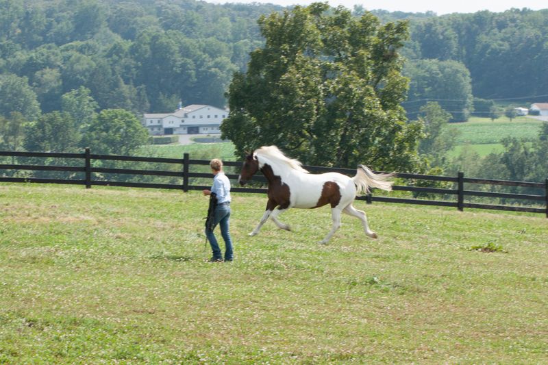 Training For Long-Term Calmness
