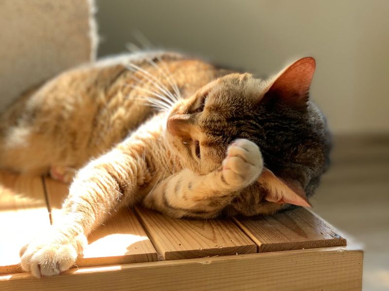 Relaxed Posture
