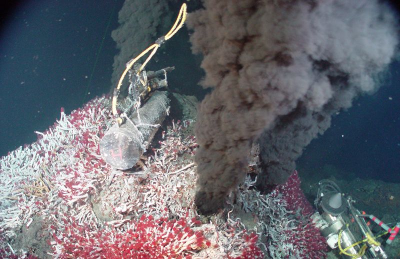 Lava-Loving Microbes Thrive In Extreme Heat