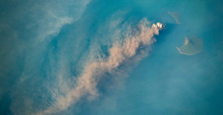Volcanic Eruption Uncovers Thousands Of Hidden Sea Creatures
