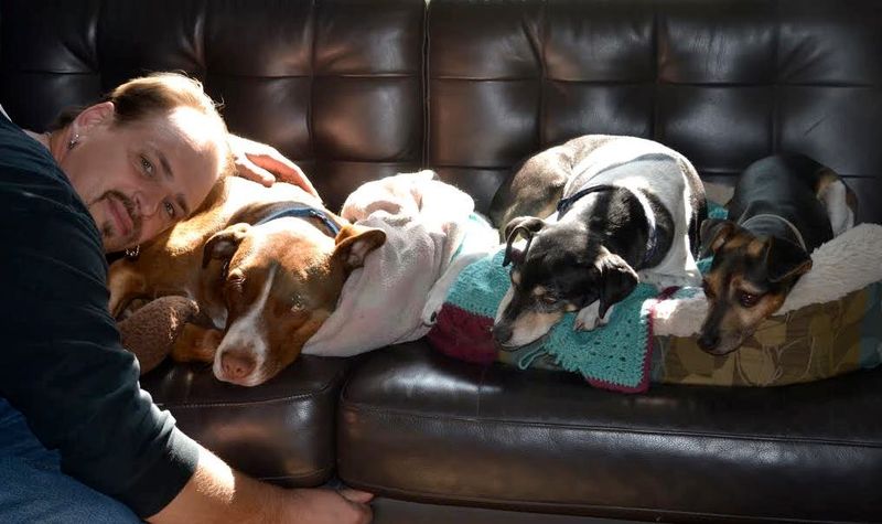 Foster A Shelter Dog Temporarily