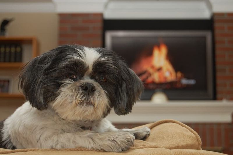 Warming Your Feet