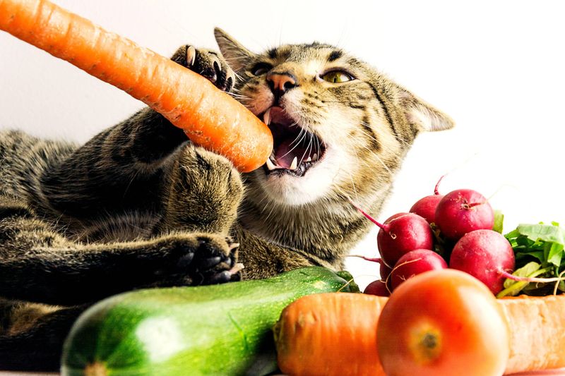 Cooked Carrots - Vision Boosters