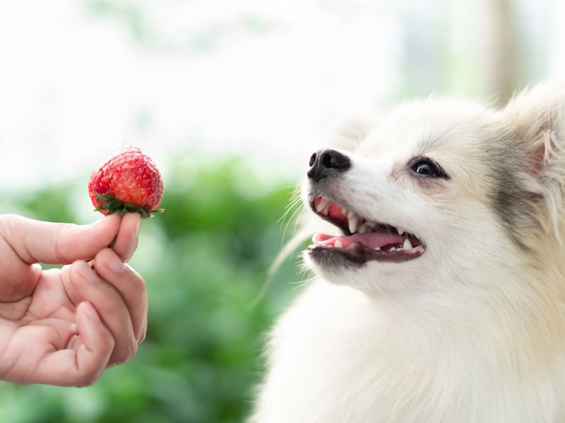 Strawberries