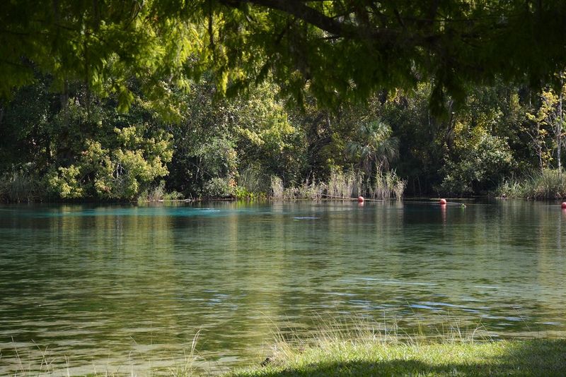 Alexander Springs – Desert-Like Sand Bottom Safety