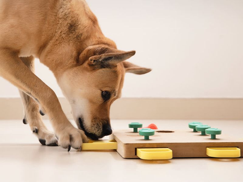 Puzzle Toys