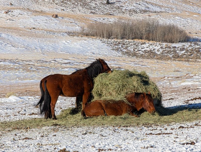Collective Weather Protection