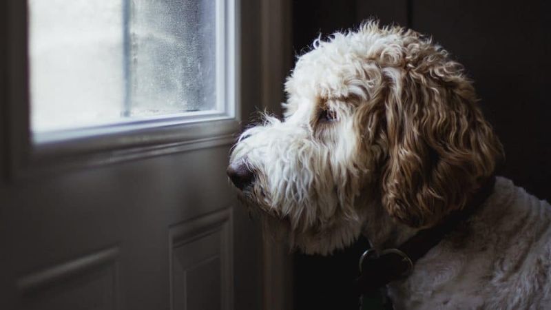 Schedule Temperature-Based Walks