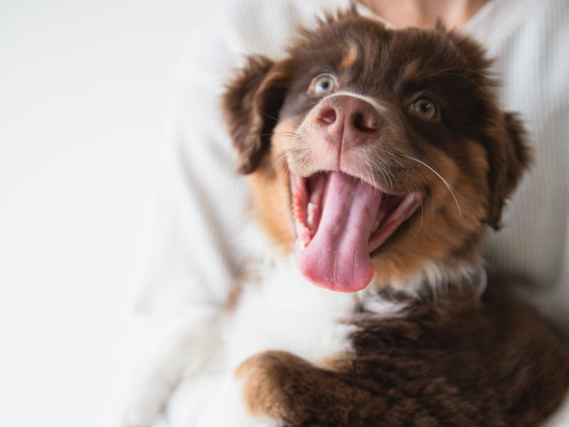 Relaxed Mouth Means Contentment