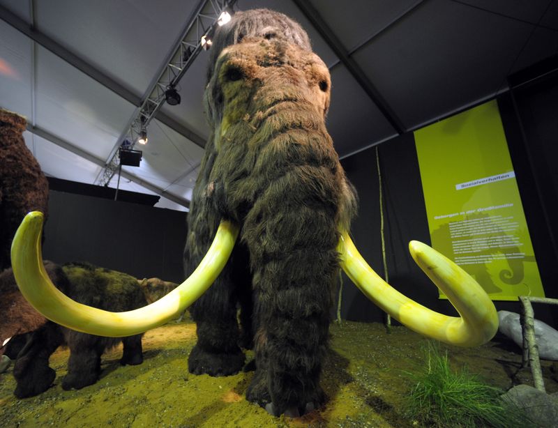 The Science Behind Bringing Back The Mammoth