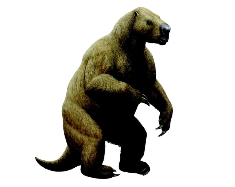 How The Mylodon Survived In Harsh Environments