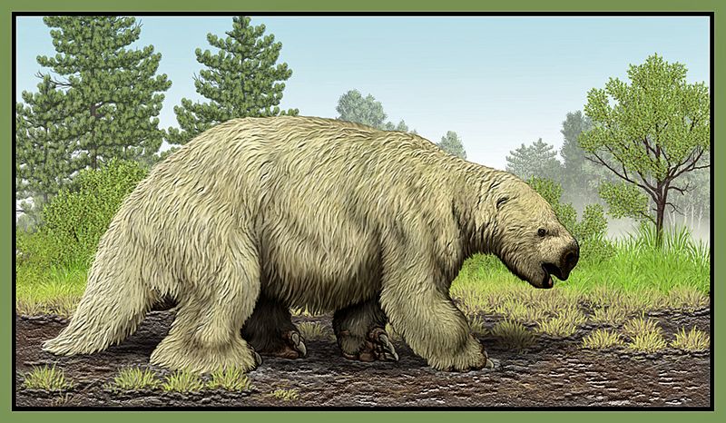 Tracing The Mylodon's Extinction Timeline