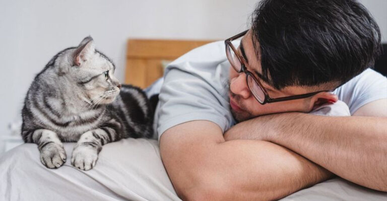 Why Cats Are Slow To Trust (And Why That’s A Gift)