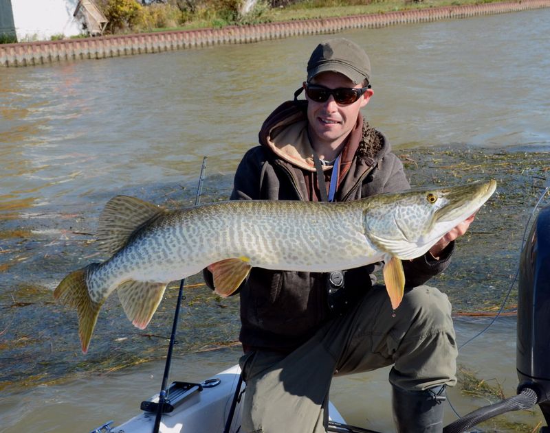 Tiger Muskies In Lake Tahoe, California