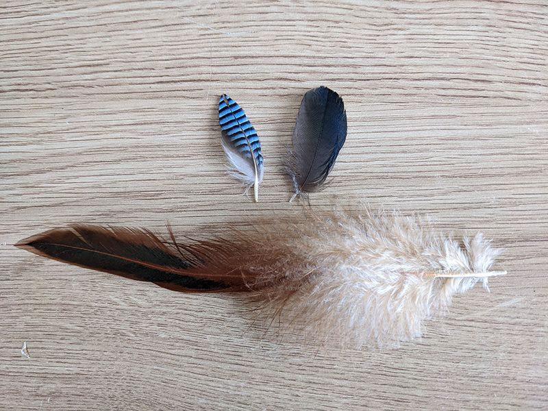 Feather Zippers Create Airtight Surfaces