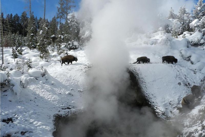 Hot Spring Enthusiasts