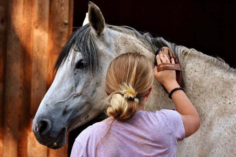 Bonding And Trust Building
