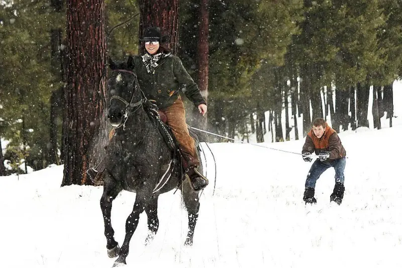 Skijoring