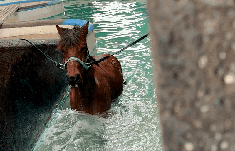 Encourage Movement In Water For Core Development