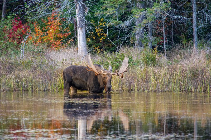 Voyageurs National Park, Minnesota