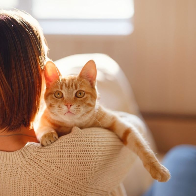 You’re Looking For A Low-Maintenance Pet