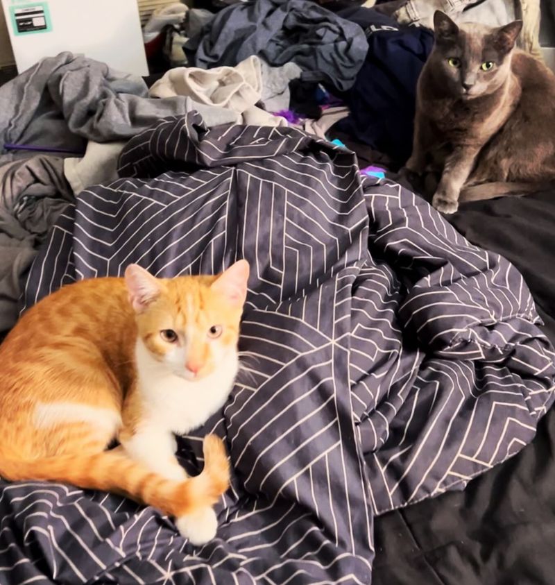 You’re Not Ready For The Mess