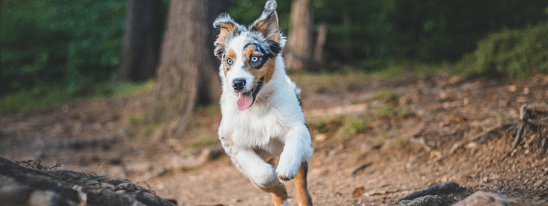 Exercise Needs Align With Yours