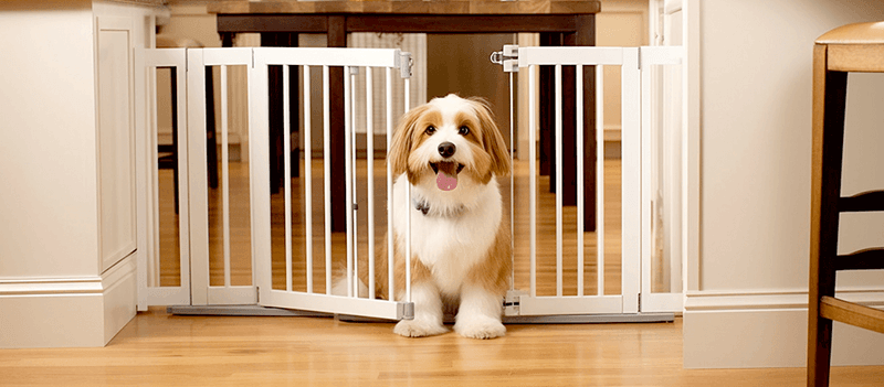 Home Is Pet-Proofed And Ready
