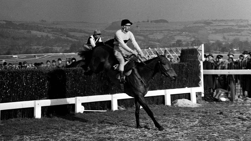 Arkle: Ireland's National Treasure
