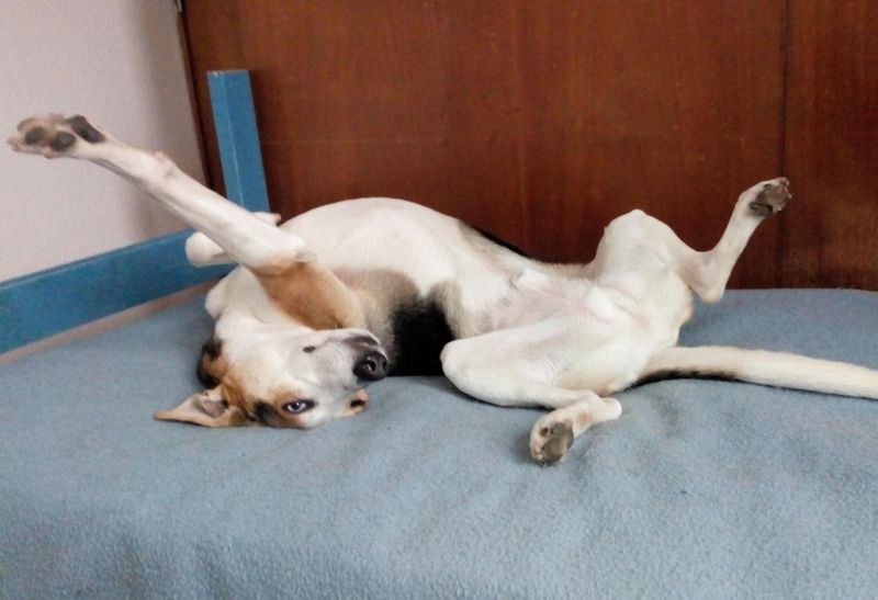 Sleeping In Odd Positions
