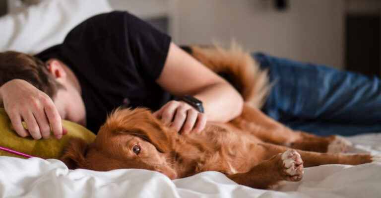 10 Behaviors That Show Your Dog Sees You As Their Forever Family (And 4 That Say They Don’t)