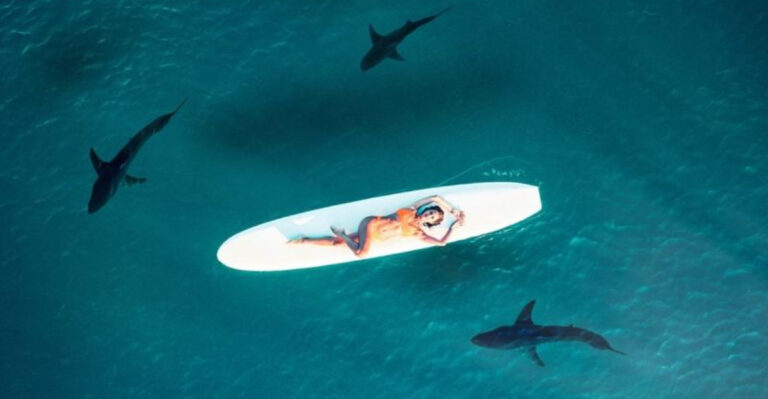 10 Colors That Really Attract Sharks (And 3 Colors That Make You Invisible To Them)