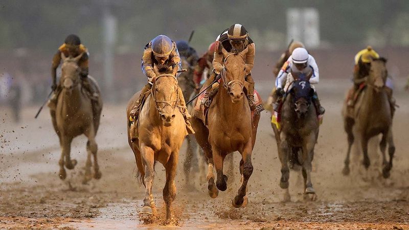 Thoroughbred: Racing Royalty