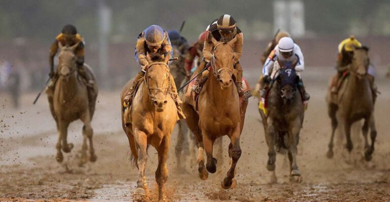 10 Fastest Horse Breeds (And 4 That Take Their Time)