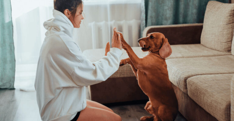 10 Signs You’re An Excellent Pet Parent, According To Vets
