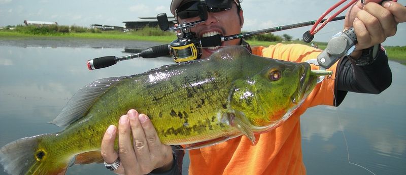 Bass Only Bite During Specific Times Of Day
