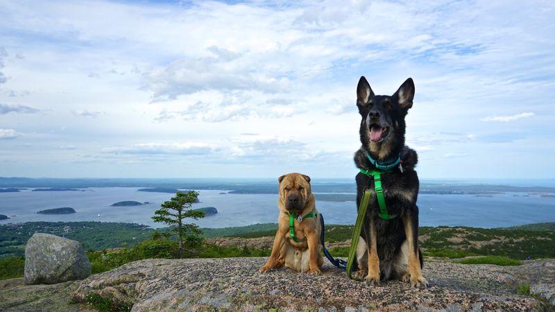 Acadia National Park, Maine